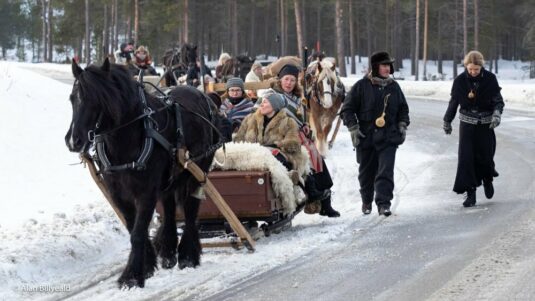 Hester som rider ved Rørosmartnan