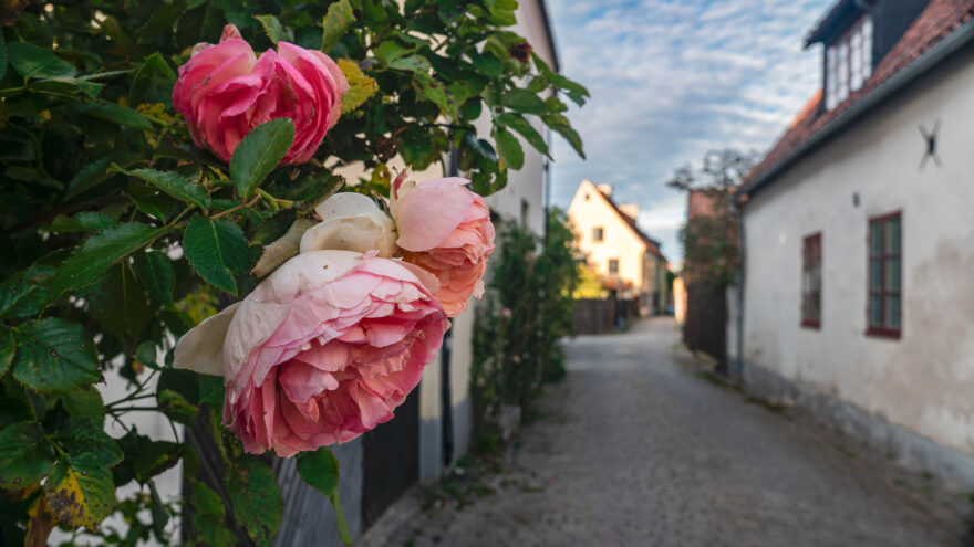 Sjarmerende Visby